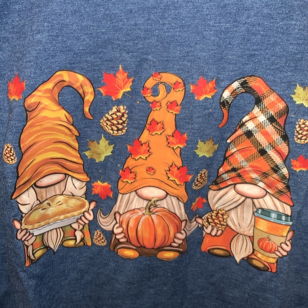 Brand new, beautiful blue T-shirt, long sleeve with festive fall gnomes